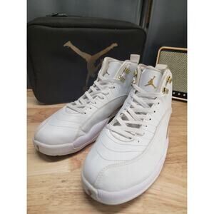 Size 13 - Air Jordan 12 Retro Phantom with Travel Bag